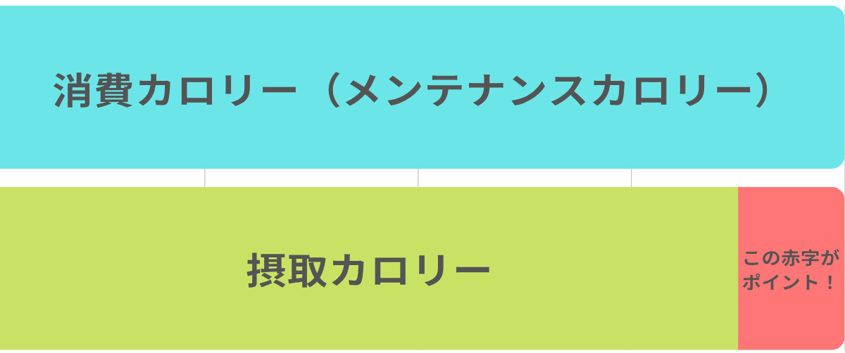 カロリー収支図