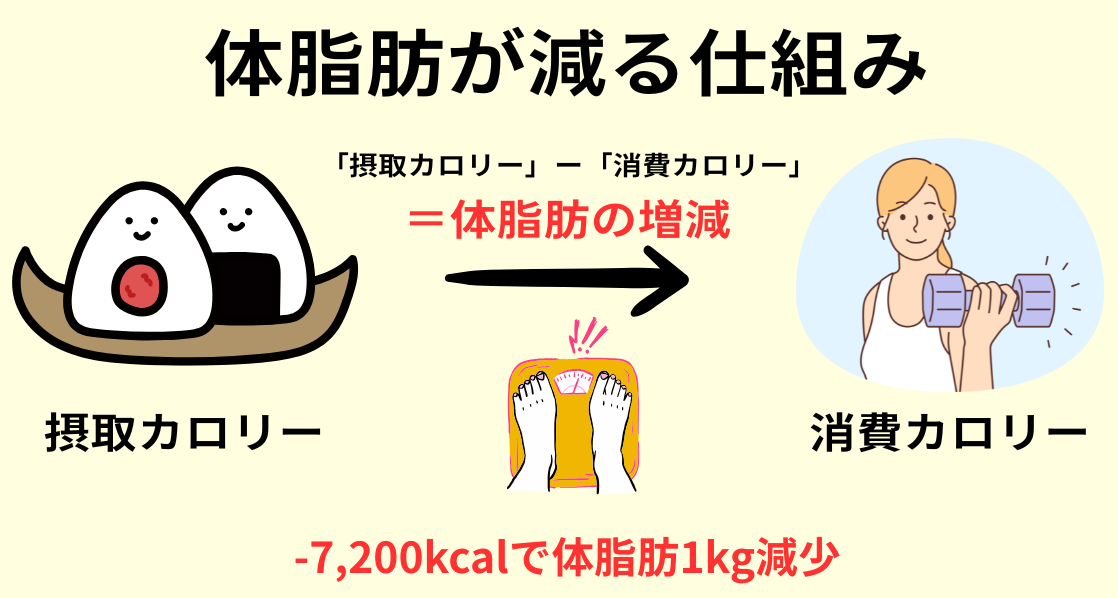 カロリー収支図